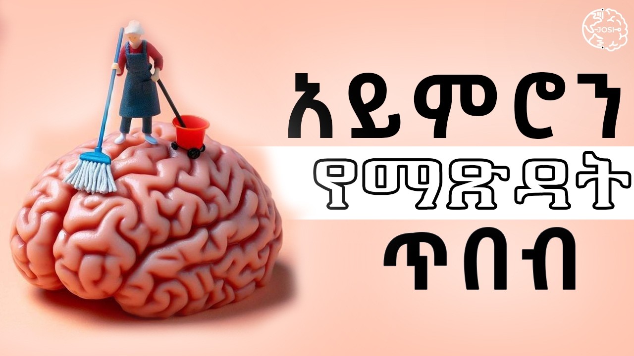 አይምሮን እንደገና ማደስ | በጥቂት ጊዜ ራስን ለመለወጥ | Inspire Ethiopia | Shanta | josi