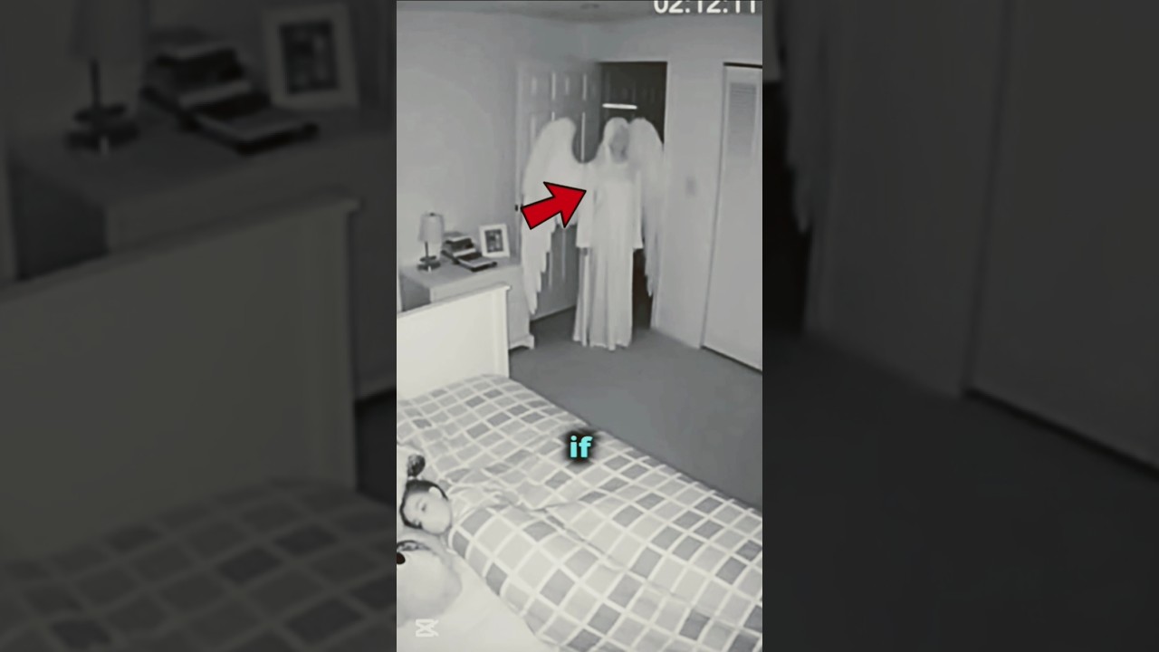 This School Principal Is A FAIRY?! The Shocking Truth Revealed! ✨