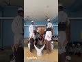 #164#pyramids#practice#sportsday2026#humanpyramid #positivitychannel
