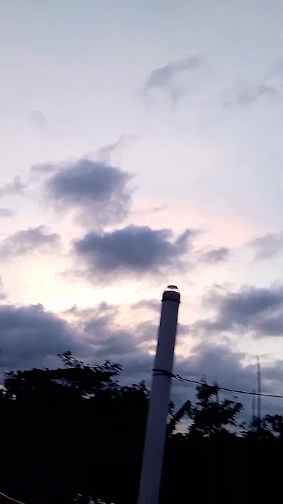 Tumi asbe bole Akash Magga Dhaka jaine...#shortvideo