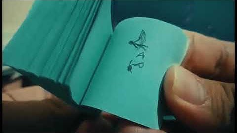 Sticky Notes Animation (School Project)