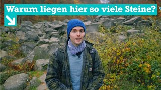 Felsenmeer Lautertal Wie Ist Dieses Naturwunder Im Odenwald Entstanden? 4K