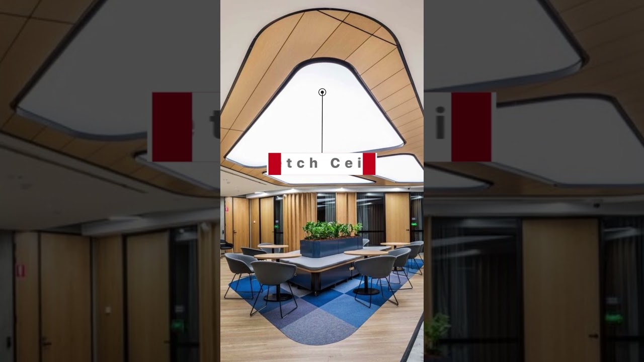 Trendy Office Ceiling Options To Go For in 2024 | Office Interior Design | NexOffice