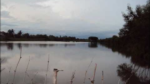 Walay gugustuan ko - Insiyong and Gusting ( Pangasinan Song )