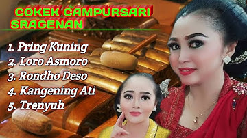 Cokek Campursari Sragenan Paling Gayeng // full sragenan - campursari