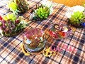 (resin)フェイクグリーン～多肉植物のマグネットと艶やかな球体 succulents and magnet