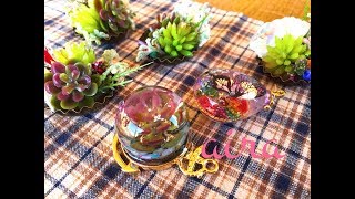 (resin)フェイクグリーン～多肉植物のマグネットと艶やかな球体 succulents and magnet