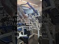 documenting my journey