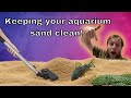 Cleaning aquarium sand gravel and substrate