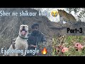 Sher ne neelgai ko khaalia   exploring jungle with hunter 
