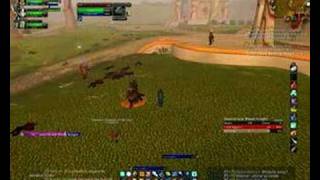 Sheep Bug News