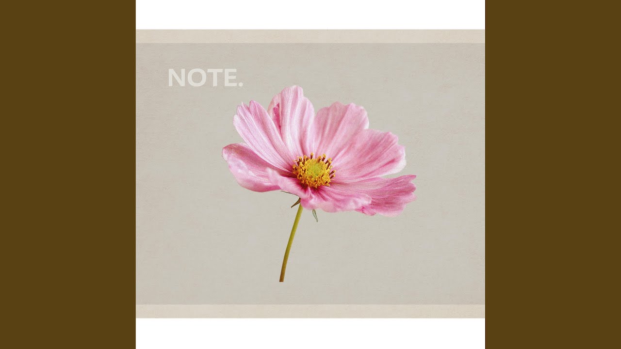 Obejrzyj Soft Rays Touch the Open Flower w YouTube Obejrzyj Soft Rays Touch the Open Flower w YouTube