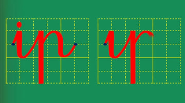 Bài 56: ep, êp, ip, up, bếp, bìm bịp, búp sen- Tiếng Việt 1 - Bộ sách Kết nối tri thức với cuộc sống