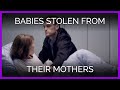 Babies stolen from mothers  petas worldveganmonth