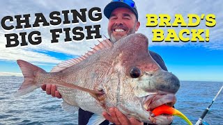 Big snapper fishing with Soft Plastics Australia! Hunting a big red on lures.... screenshot 3