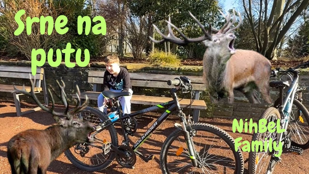 Srne nam izasle na put / Konacno zavrseno kupatilo