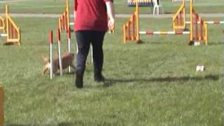 Boris - WBSDS 2nd - Small Comb 3-5 Jumping 25/04/09
