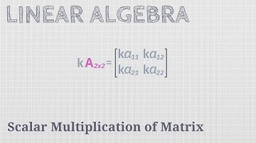 Scalar Multiplication of Matrix [Linear Algebra]