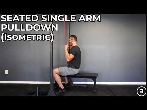 Seated Single Arm Pulldown (Isometric)