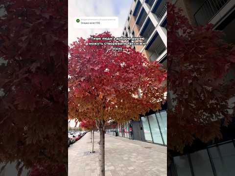 Київ вистояв Україна не скорилася Тримаємо стрій Пісня теж зброя у нашій боротьбі Єднаймося 