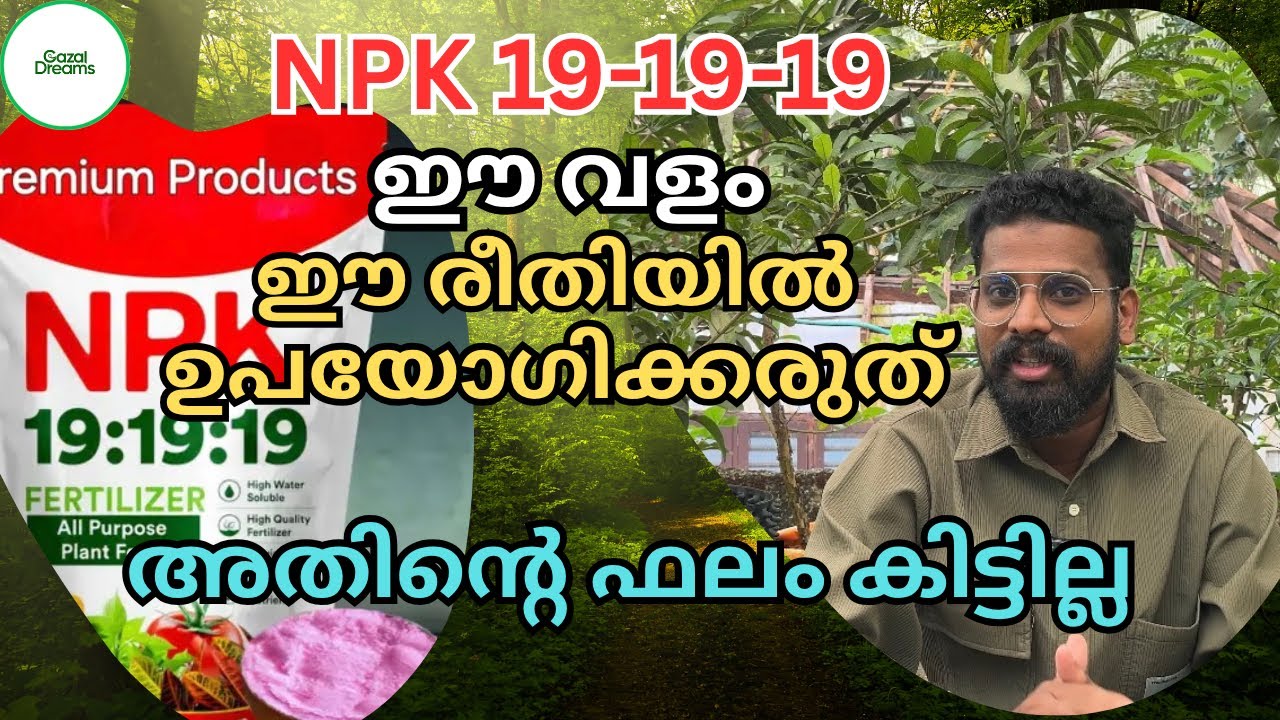ഇലകളിൽ സ്പ്രേ ചെയ്യുന്ന ഈ വളം മണ്ണിലൂടെ ചെടികൾക്ക് കൊടുക്കാമോ? | How to use npk 19 19 19 in plants