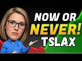 Tesla xStock (TSLAX): Massive $1B Token Sector Milestone &amp; Robo-Taxi News!