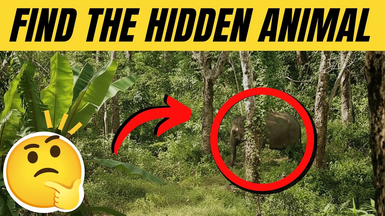 Найдите спрятанных животных