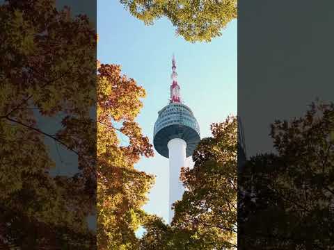 Tour Du Lịch Hàn Quốc 5 Ngày 4 Đêm | Seoul - đảo Nami 💗 Giá Tốt Nhất