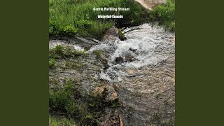 Gentle Burbling Stream
