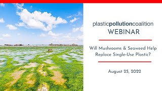 Will Mushrooms and Seaweed Help Replace Single-Use Plastic? Net Worth