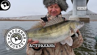Судак. Щука. Сом. Рыбалка в Астрахани | Народный проект