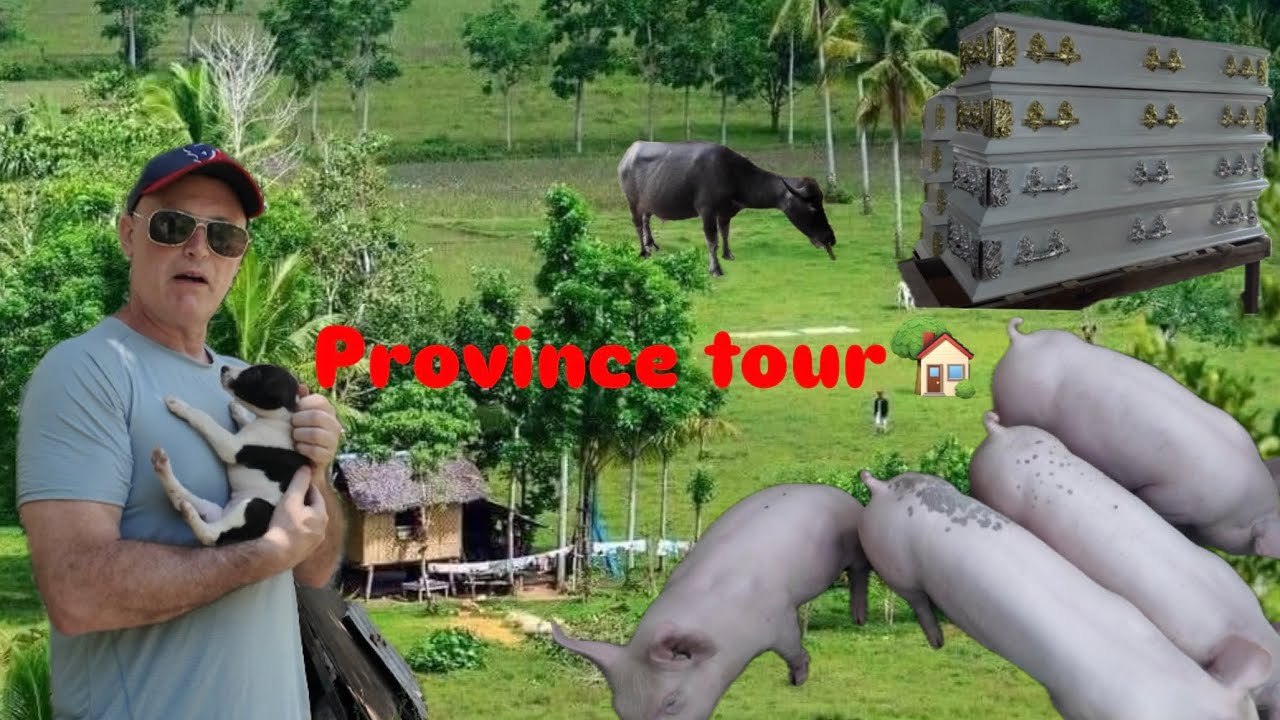 Touring Our Province Pig Farm & Coffin Shop with My American Boyfriend 🇵🇭🐖