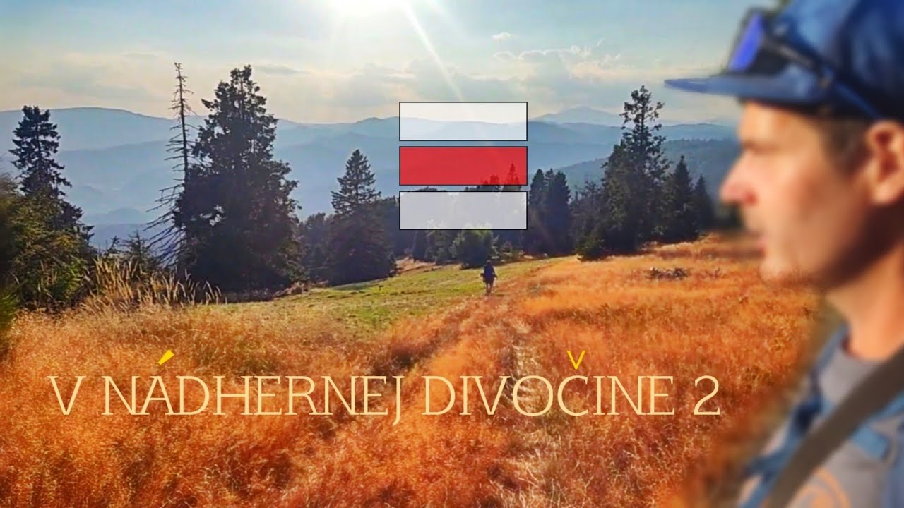 V NÁDHERNEJ DIVOČINE 2 / CESTA HRDINOV SNP / UHORNIANSKÉ SEDLO-DOBŠINSKÝ KOPEC