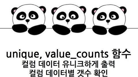 [Pandas 강의] unique, value_counts 컬럼 내 유니크한 값 뽑아내고 갯수 확인하기