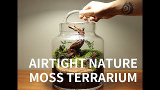 밀폐 자연, 유리 속 작은 지구! 이끼 테라리움 만들기 Airtight Nature Moss Terrarium
