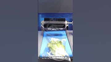 Flow wrap vegetable packing machine #packingmachine