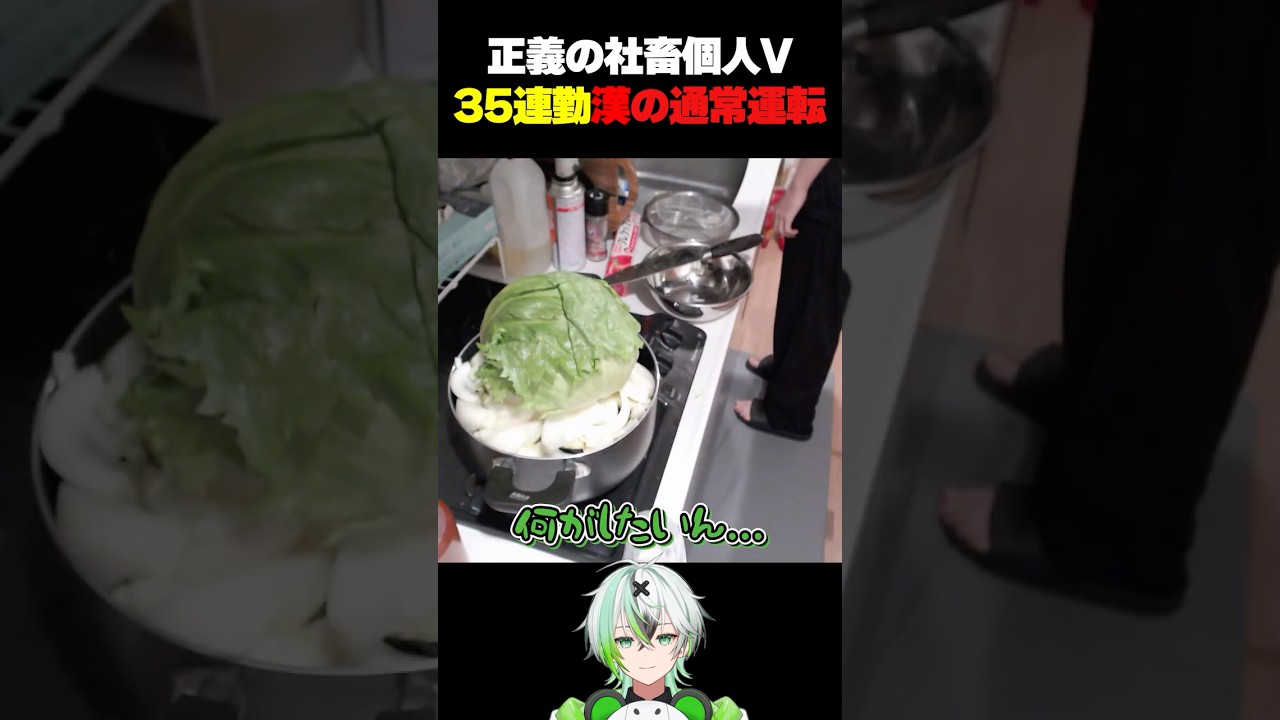 【実写】正義の社畜個人V 35連勤漢の通常運転【だよだよ】