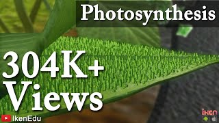 Photosynthesis and Transportation in Plants | iKen | iKen Edu | iKen App