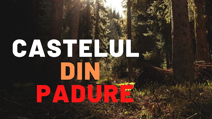 Forest School/ Scoala din Padure/ Castelul din Padure/ Aventuri in Padure/ Forest Adventures/Animals