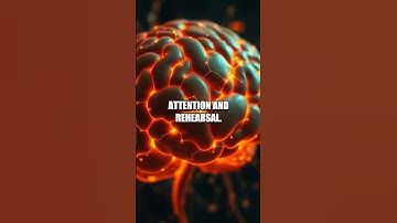 The Memory Map Episode The Replay Within