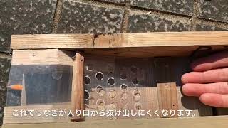 うなぎの箱筒の作り方