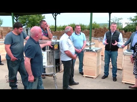 სახელმწიფო პროგრამა მეფუტკრეებისათვის/მწერების საწინააღდეგო ღონისძიებები