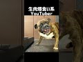 【大食い犬ASMR】パパからもらった生肉を豪快に爆食いする愛犬飯テロ/MUKBANG Dog eats raw meat bones　#shorts
