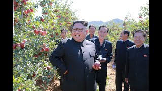 Apple Inspection by KIM - Domestic TV Broadcast from within North Korea