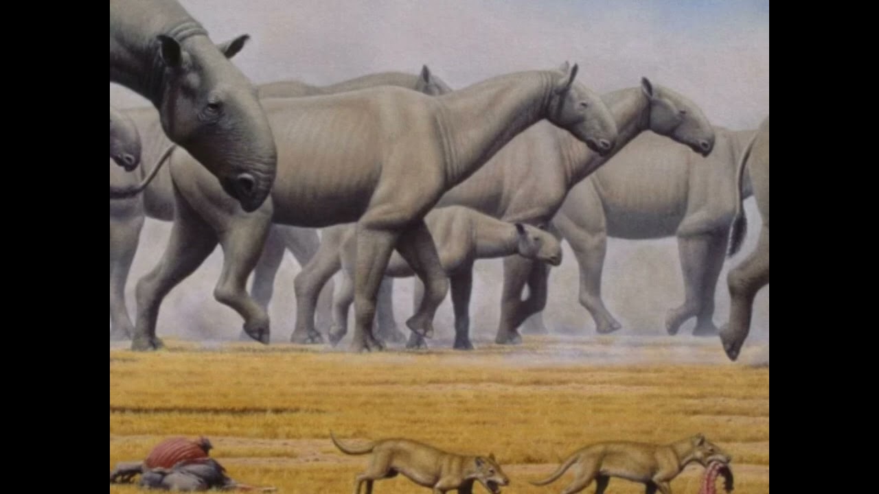 Paraceratherium sounds