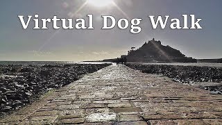 Walk Your Dog TV : Virtual Dog Walk