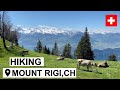 Hiking in the Swiss Alps | Mount Rigi, Switzerland