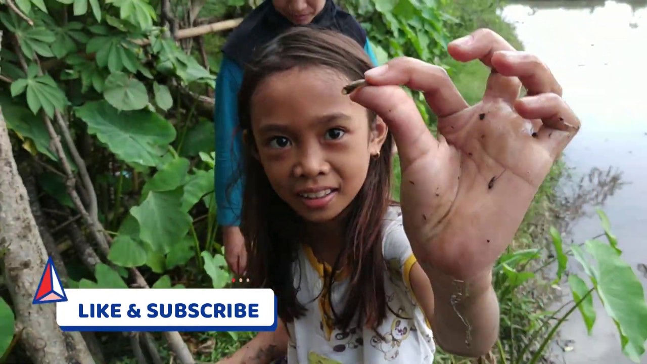 SERU JUGA, TANGKAP UDANG DI SAWAH BERSAMA TEMAN-TEMAN 