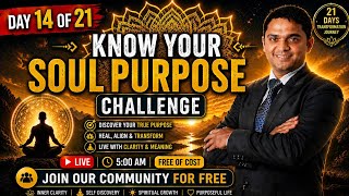 Day 14 of the 21 Days Know Your Soul Purpose Challenge is LIVE.