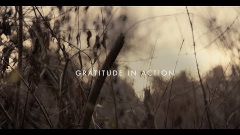 Gratitude in Action at Edifecs
